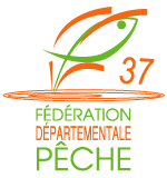 logo_37