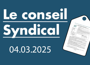 illustration conseil syn 04.03.25